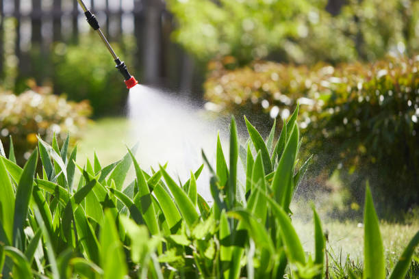 24/7 Emergency Ant Control experts in Ballplay, AL