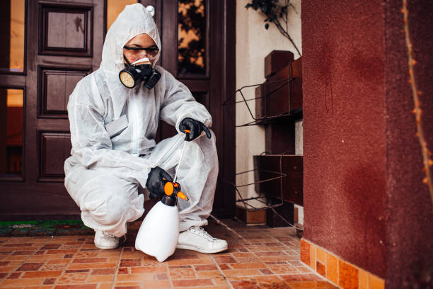 Reliable Ant Control contractor in Ballplay, AL by Show Me Pest Control